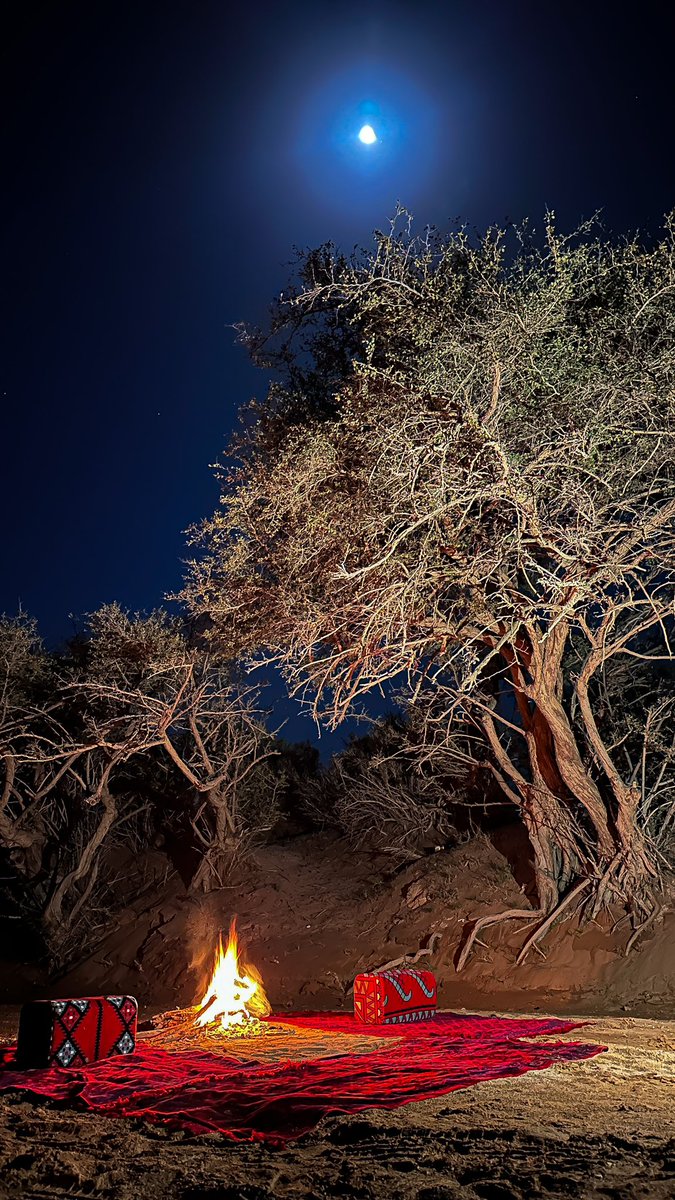 صورتها البارح بس للاسف للحين مالقيت عليها بيت شعر لايق عليها الا بيت عبدالله بن عون اللي يقول فيها  أمنيتي الأزلية في هالمكان : 
"في معزل عن جميع الخلق وازعاجه
ما اسمع من الناس لوتكثر لجالجها"