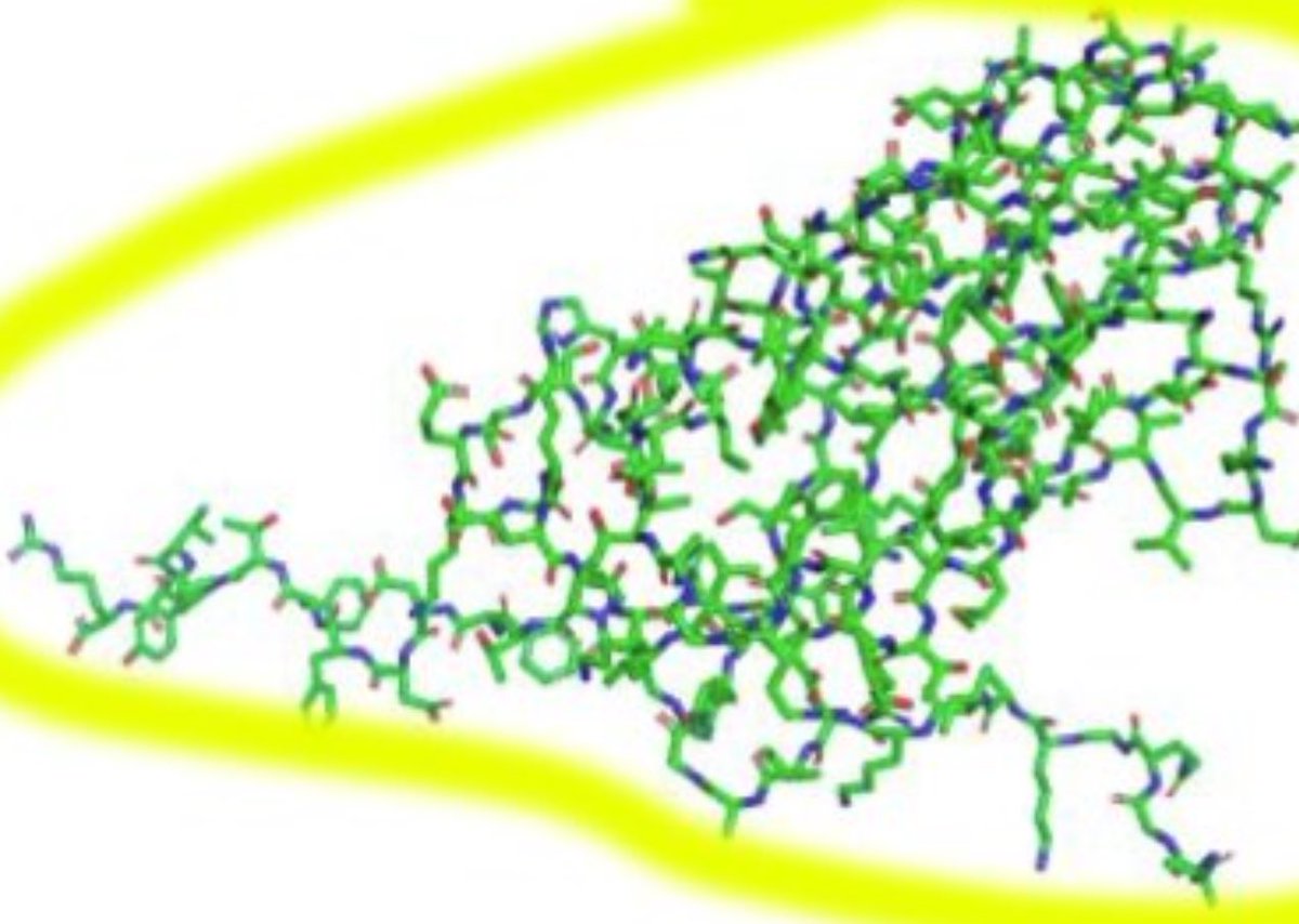 I’m always so impressed by what we discover in biology. RNA bases now look like glutamate, lysine and histidine 🤯🤯🤯