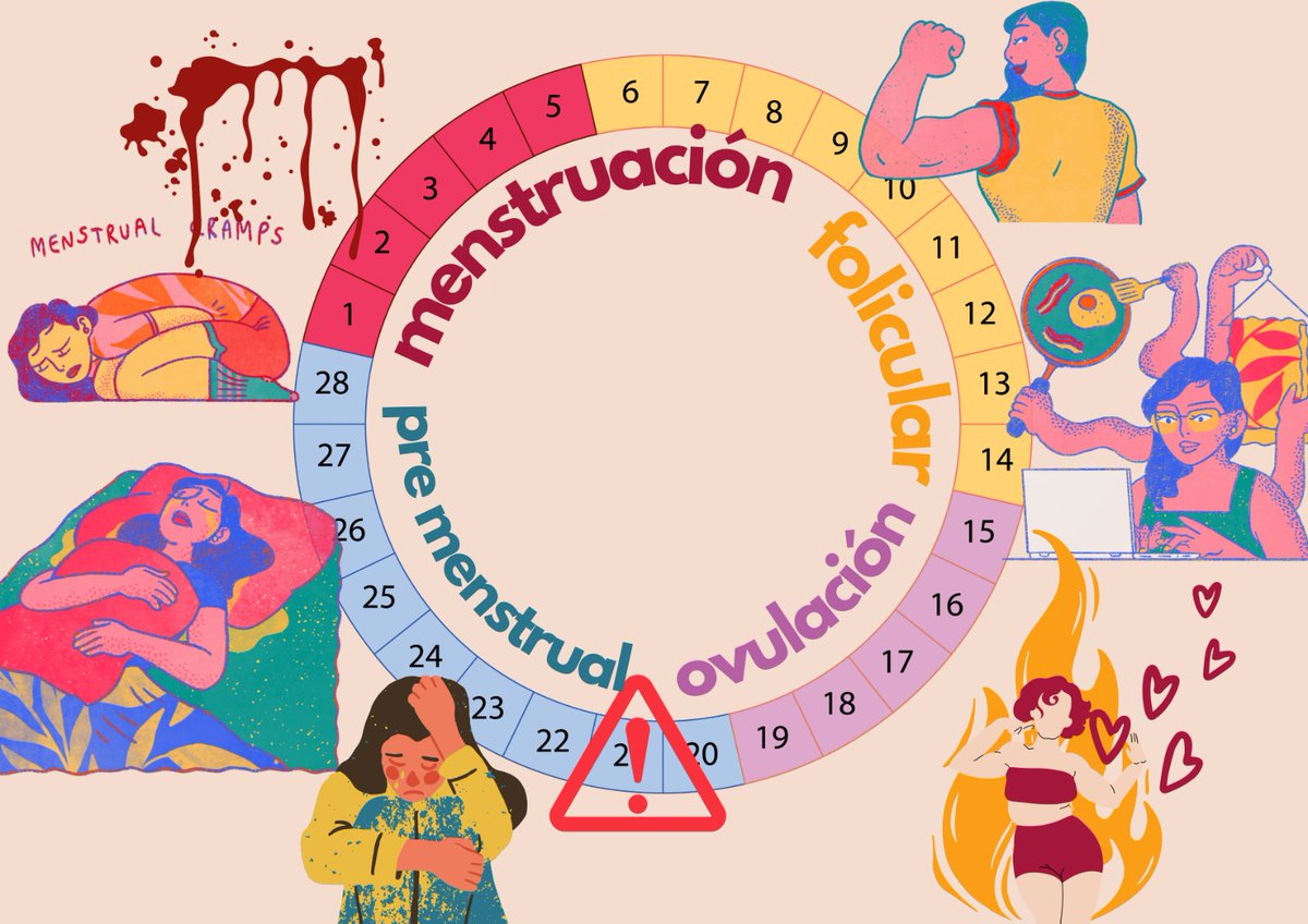 Le hice a mi wey una guía gráfica para que pueda nomás preguntarme en qué día de mi ciclo estoy y acomodar sus expectativas según el número que le responda, jajaja