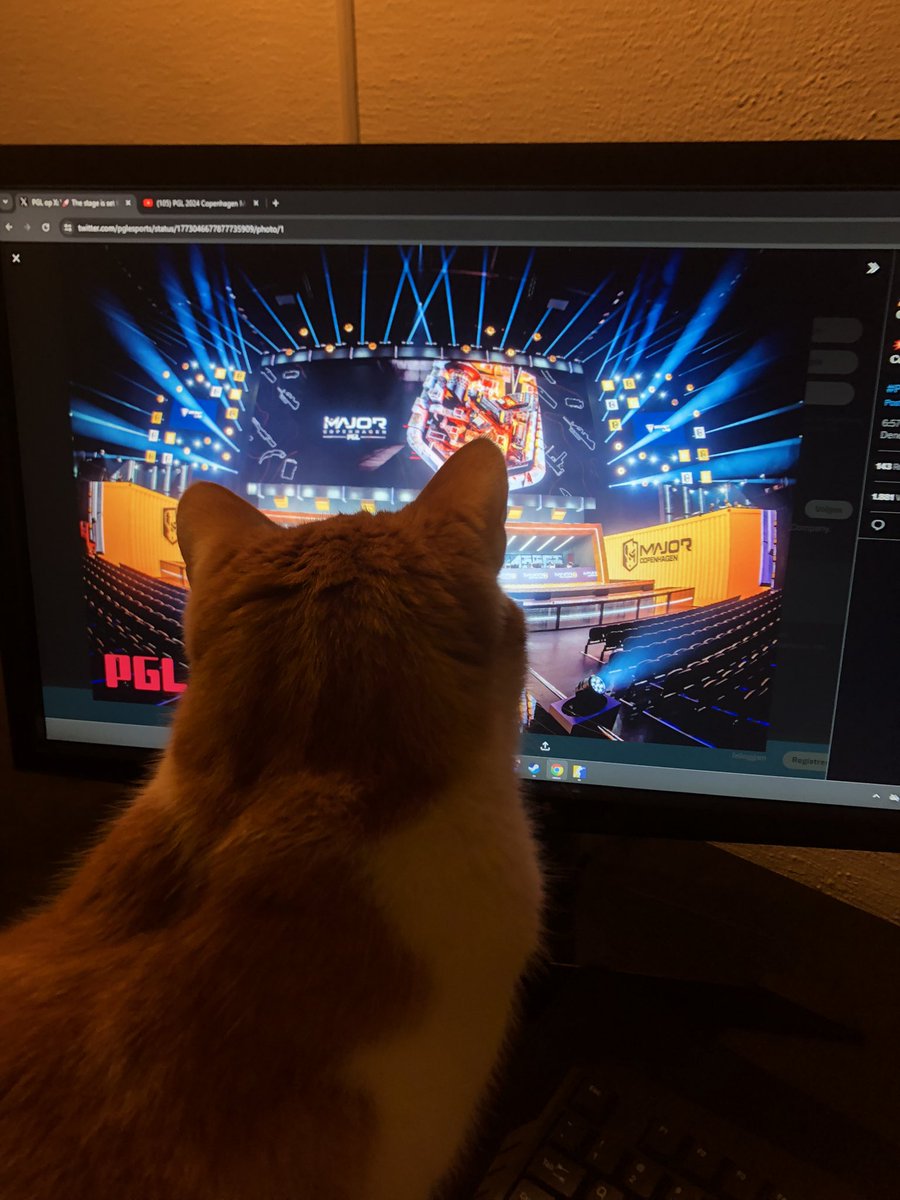 PORTEGIES tweet media