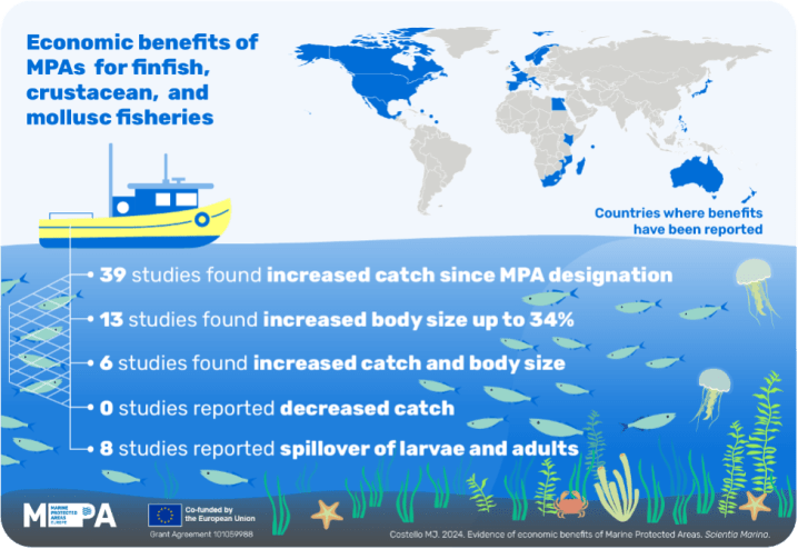A new study by Dr. Mark John Costello demonstrates that both fishing and tourism benefit from marine protected areas – a final blow to the argument that conservation is costly and harms fishing. scientiamarina.revistas.csic.es/index.php/scie…