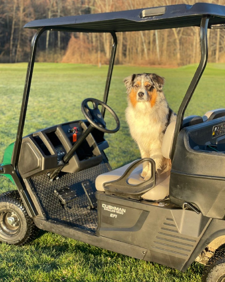Take it from Luna - there's always time to catch the sunset when the workday is finished! 🐶 @jfontaine756 #Cushman #NeverBeOutworked