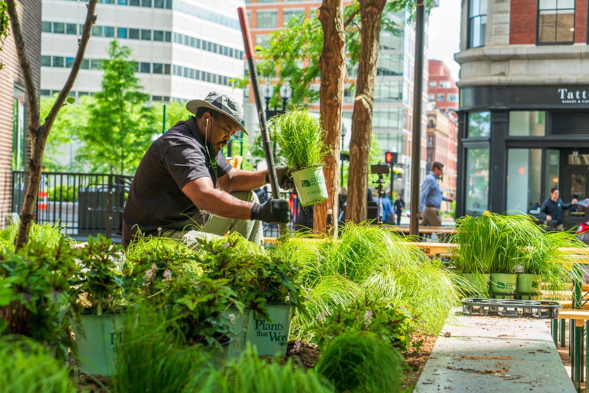 Excited to have our exterior team back in action soon, bringing vibrant spring landscapes to life! 🌷 #Cityscapes #ExteriorLandscape #BiophilicDesign #Biophilia #ExteriorPlants #Boston #VisitBoston #GreenSpaces #VerticalSpace #BringNatureIndoors #InteriorDesign