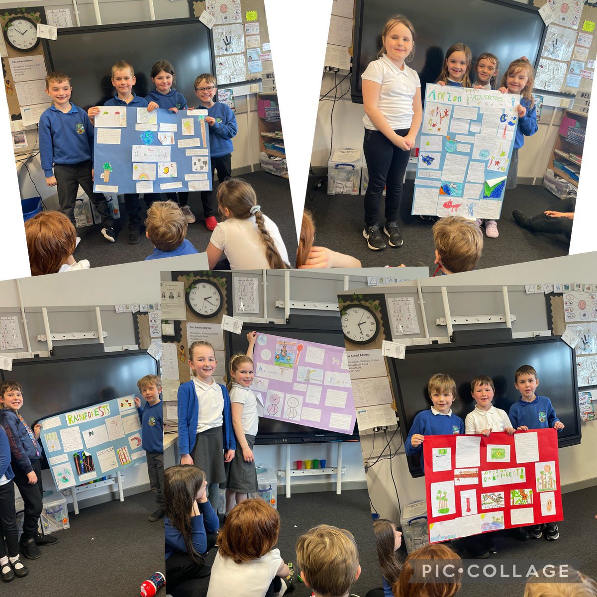Primary 3 worked very hard this week to plan, research, design and present posters about different aspects of rainforests. @PKCTeach #greatteamwork
