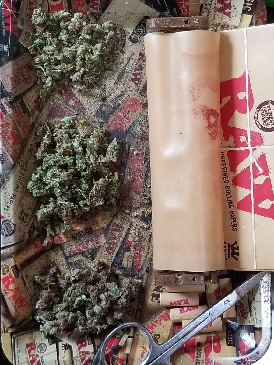 johnn92099's tweet photo. What to smoke next. Top is New berry from @Twistedtreeauto middle is Sapphyre from @Speedrunseeds and bottom is Grape slurry from @rocbud https://t.co/hylBgI5jK5