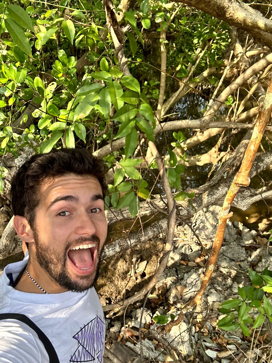 Treegens tweet media