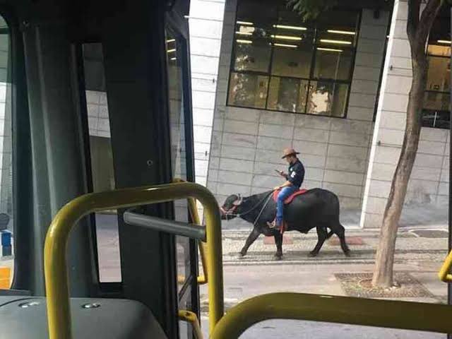 BHeMeupais's tweet photo. Animais autorizados na função Uber Pet em Belo Horizonte https://t.co/z73piebP8W