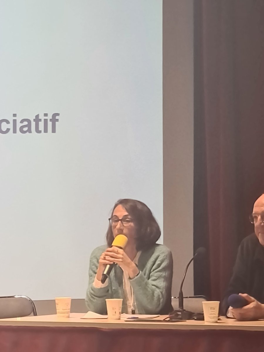 En conclusion, ' sujets de visibilisation, une nouvelle campagne ? Quelles alliances ? Le poids politique et la coconstruction de politique publique ? Résister ' @clairethoury @HuguesSibille