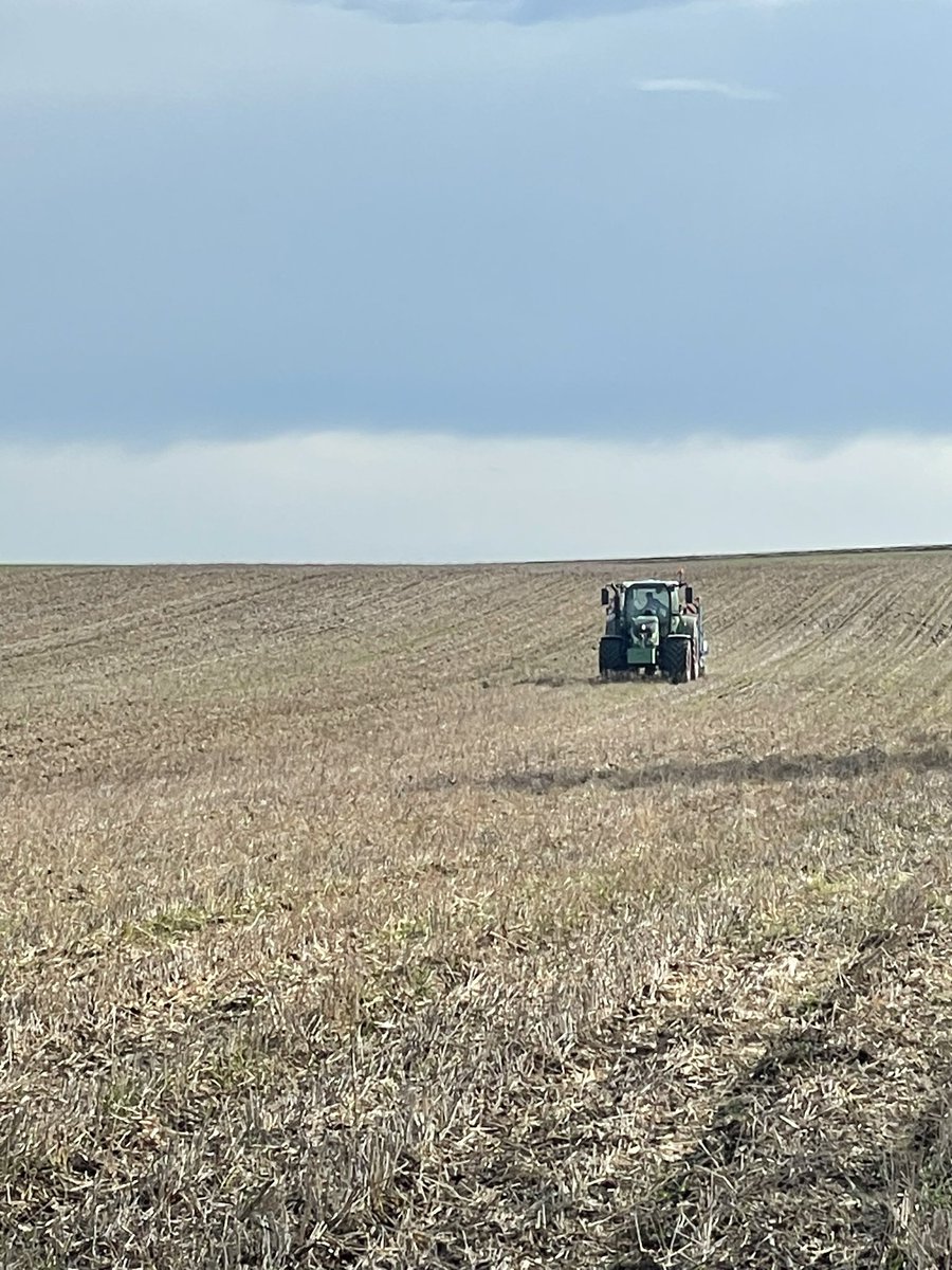FWinkelhofer's tweet image. Heute haben wir #Rüben zur Zuckergewinnung gesät. Ein #Pilotprojekt, das Treibhausequivalentneutralen Zucker liefern soll. Ich glaube ja nicht, dass wir aufgrund solcher #Berechnungsmodelle die Welt retten, ich glaube aber an #Erosionsschutz und #conservationagriculture
