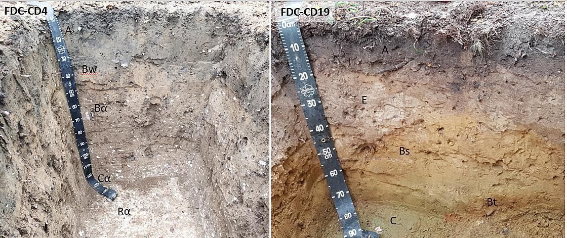 New in Geoderma: 'Age and origin of closed depressions in the Paris Basin: A majority of marl pits dug since the Neolithic period?' by Boris Brasseur, Théo Allalou, Laurent Chalumeau, Emilie Gallet-Moron & Jérôme Buridant. buff.ly/3PpU1E3 @UPJV_Univ