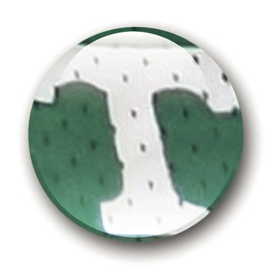 BristolSports tweet media