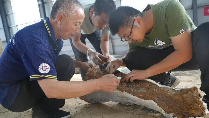 山东沂水跋山遗址群的发现被山东省文物考古研究院院长孙波称之为是一次“改写东亚现代人类起源史的重要发现”。