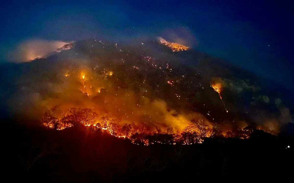 ¡México en llamas! Suben los incendios y baja el presupuesto de la Comisión Nacional Forestal (@CONAFOR) en 40% con la 4t. Hoy, los incendios se acaban cuando se acaba el bosque. Si quieres continuar con un México en llamas no dejes de votar por morena. #MéxicoEnLlamas