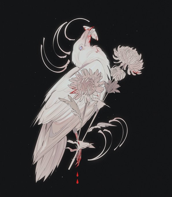 「white bird」 illustration images(Latest｜RT&Fav:50)