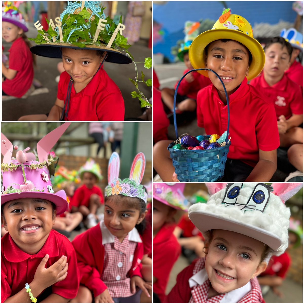 Emerton Public School tweet media