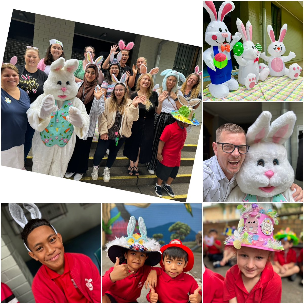 Emerton Public School tweet media