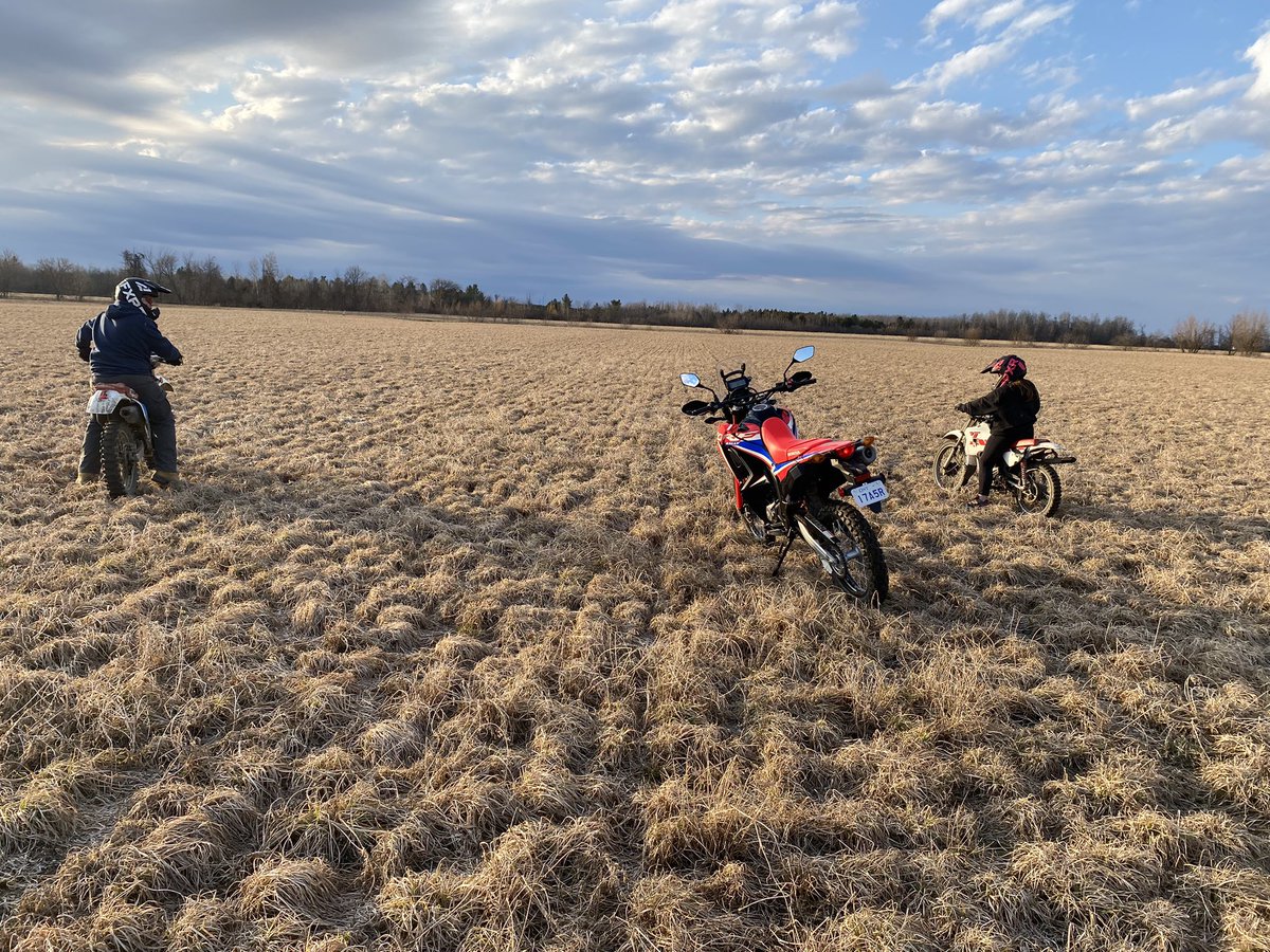 Scouting some hay fields in north Stormont county it looks promising so far