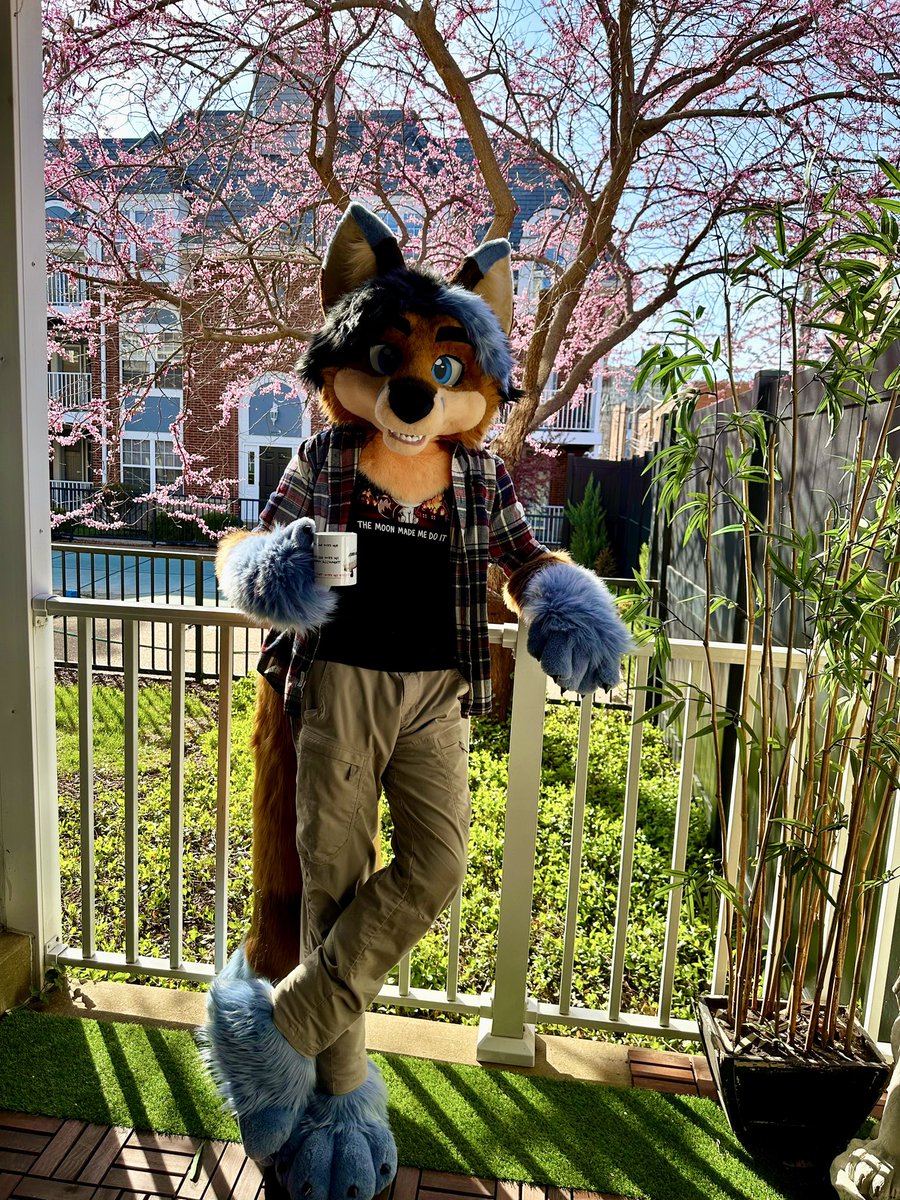 Spring is here. Come take a seat with me on the porch? Coffee? Tea? Cuddles? Is pretty out here.

✂️🪡 <a href="/lemonbrat/">Lemonbrat@Anthrocon! 🌈🍋💛</a> 

#furry #furryfandom #fursuit #furrycommunity