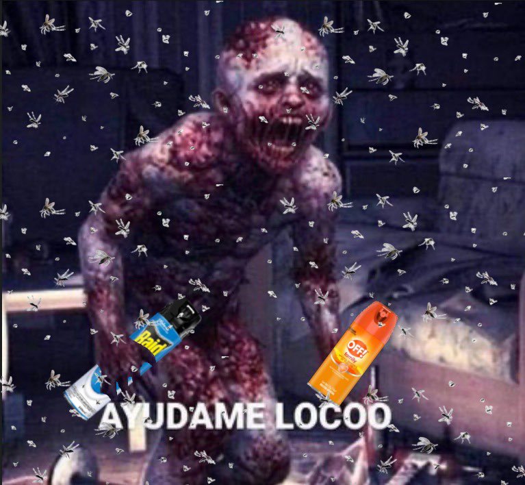 Estoy HARTA de los mosquitos, estan en TODOS lados