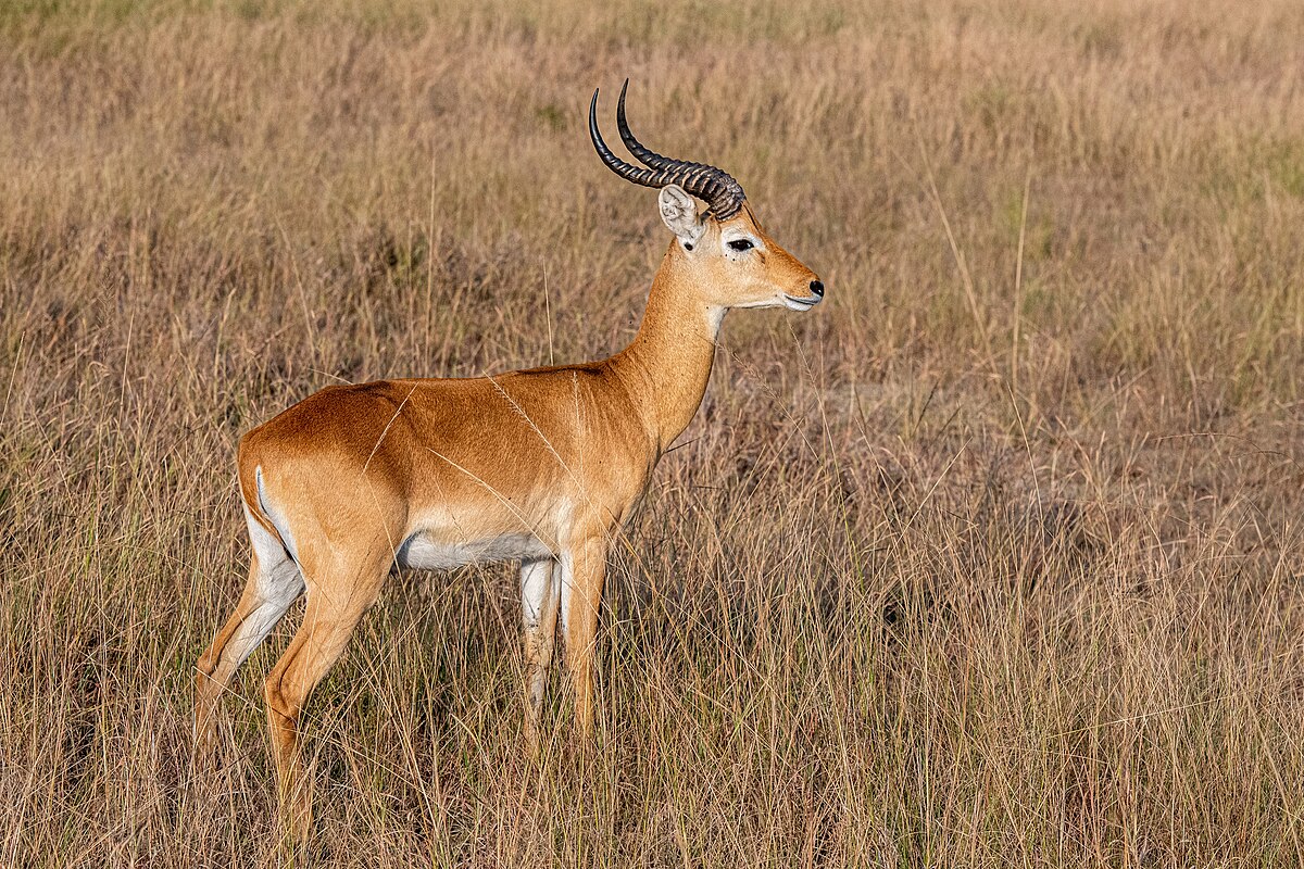 Brian Tanis tweet media