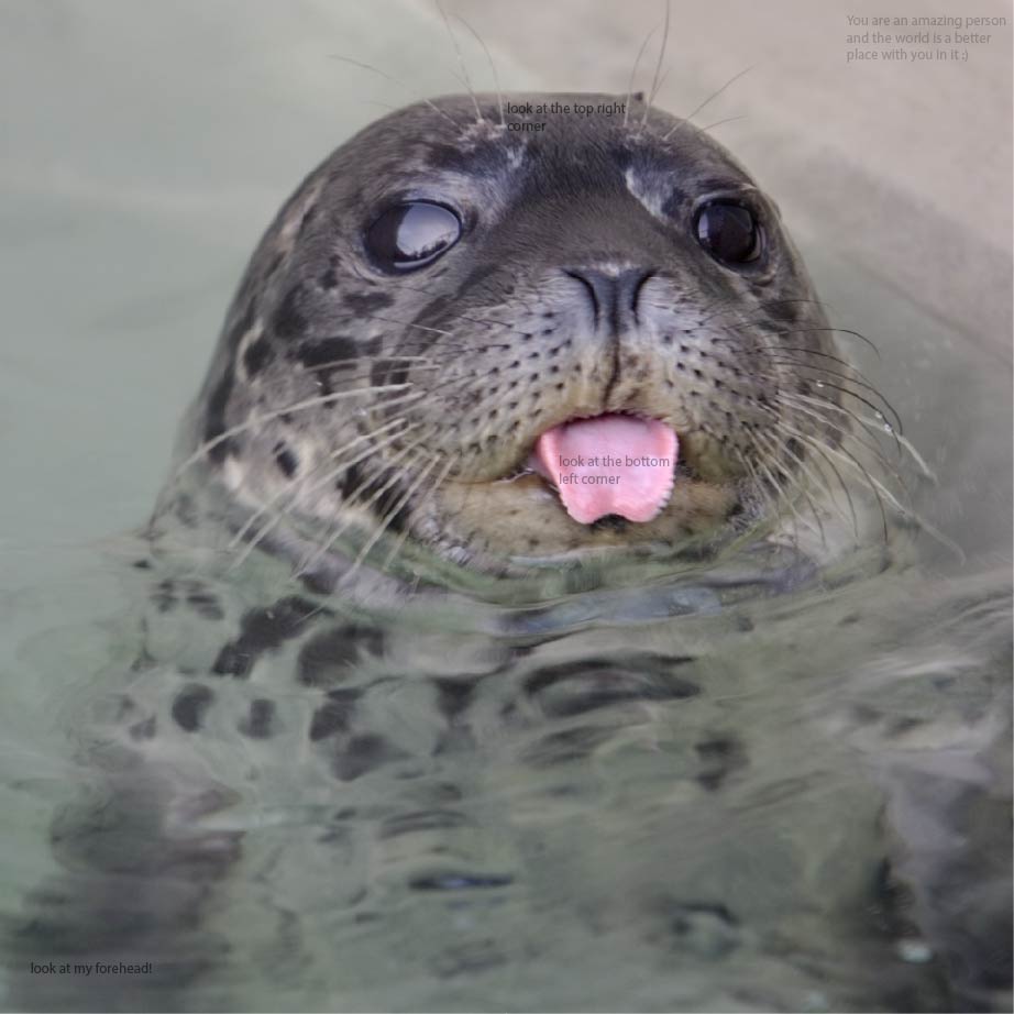 TMMC's tweet image. zoom in on my tongue! 👅💕