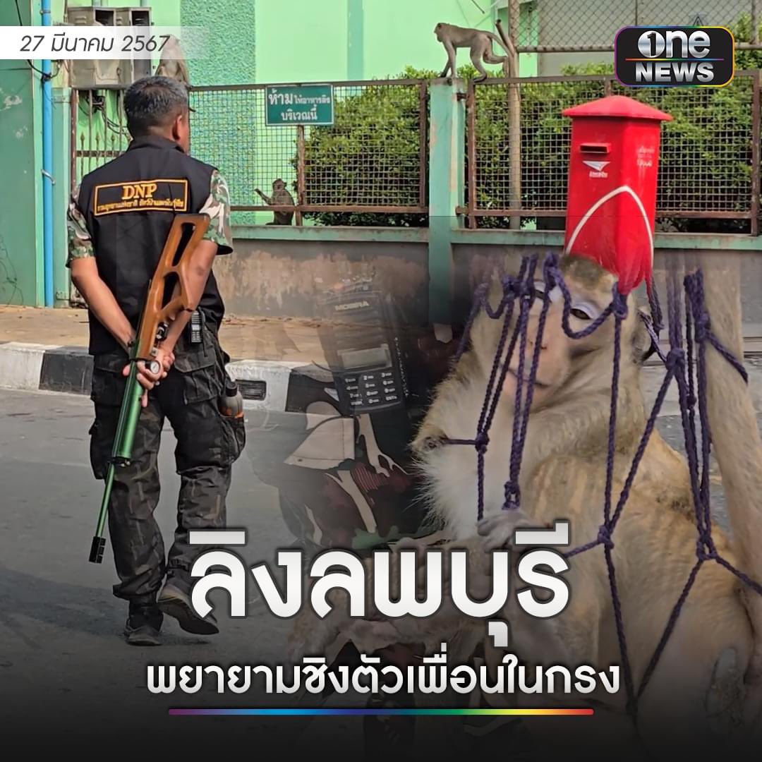 หมาดำตัวนี้ยังหวังดีกับเธอเสมอ tweet media