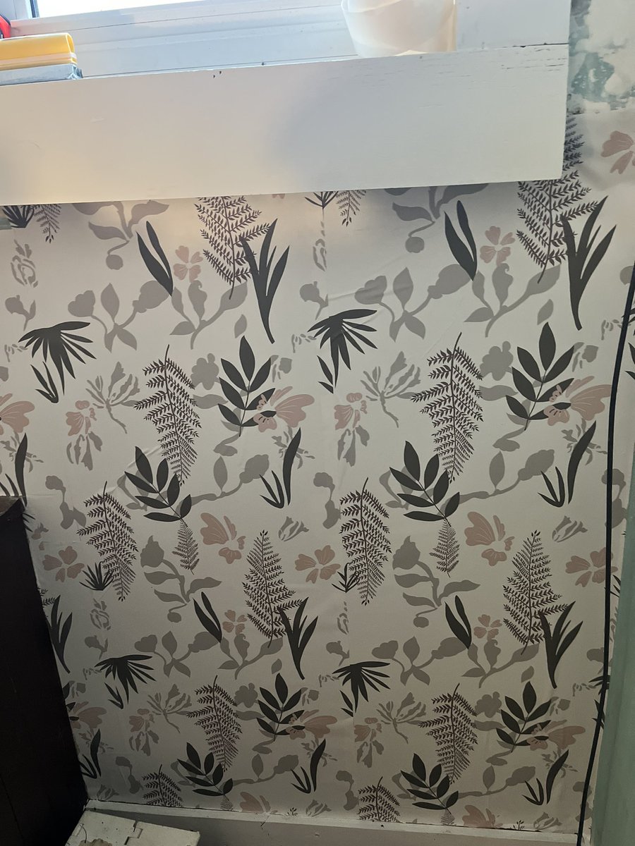 Darcy Pelkey tweet media