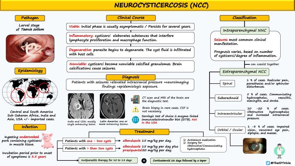 @doctors__squad Neurocysticercosis <Image source: @TheIDtrivia via @grepmeded, tinyurl.com/5n8eb3pf>