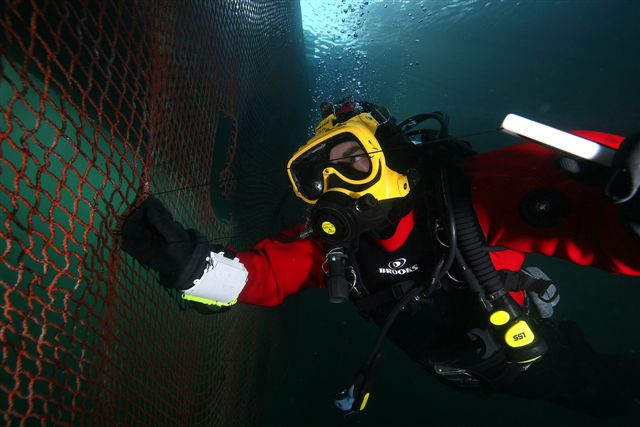 Not your average classroom 🌊 #drysuit #diving #divejob