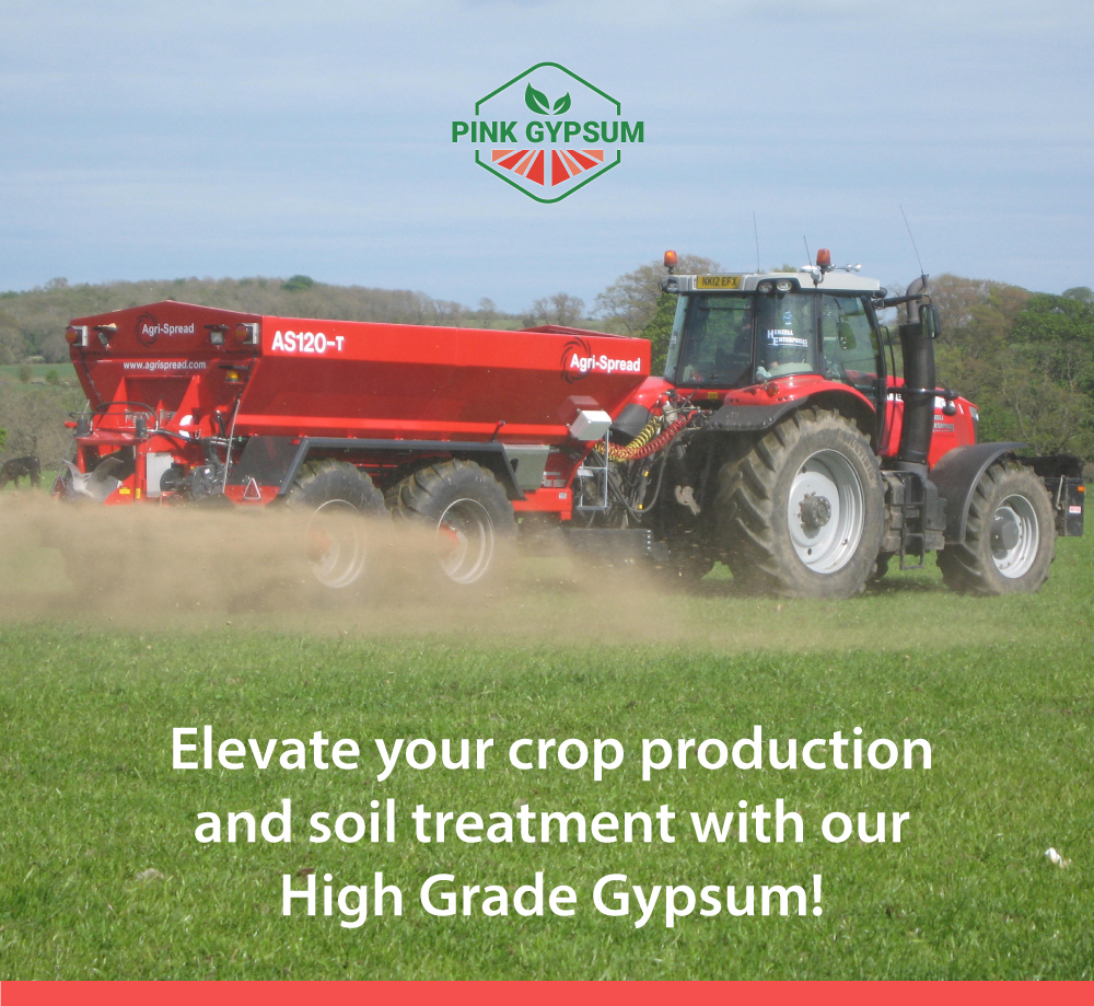 realPinkGypsum's tweet image. 🌱 Elevate your crop production and soil treatment with our High Grade Gypsum! 🌿✨ It&apos;s the ultimate solution for optimizing your agricultural endeavors. 🚜💧 #HighGradeGypsum #CropOptimization #AgricultureSolutions 🌾🌟