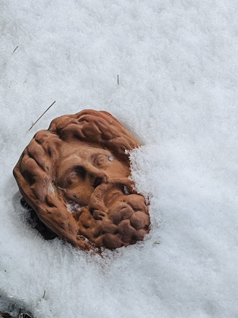 Bacchus emerges from a long winter’s nap.