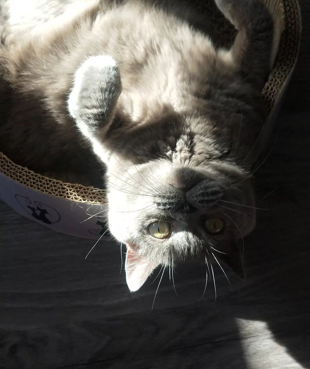 Habrá que dar una vuelta,no?