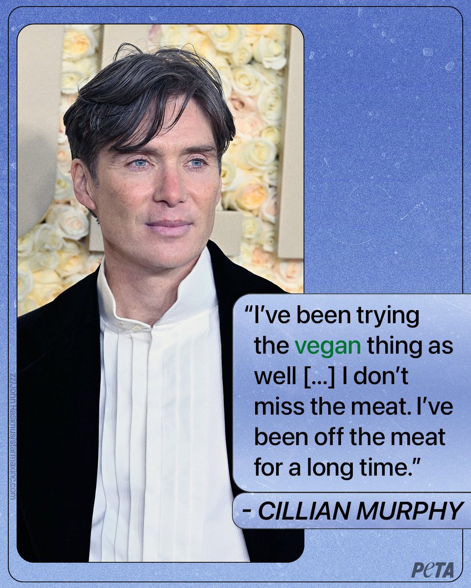 peta's tweet photo. Love to hear it! 🫶

@CillianMurphyOG, known for his roles in #Oppenheimer and #PeakyBlinders, had this to say about his new vegan lifestyle 🌱 https://t.co/UKX2Y343cN