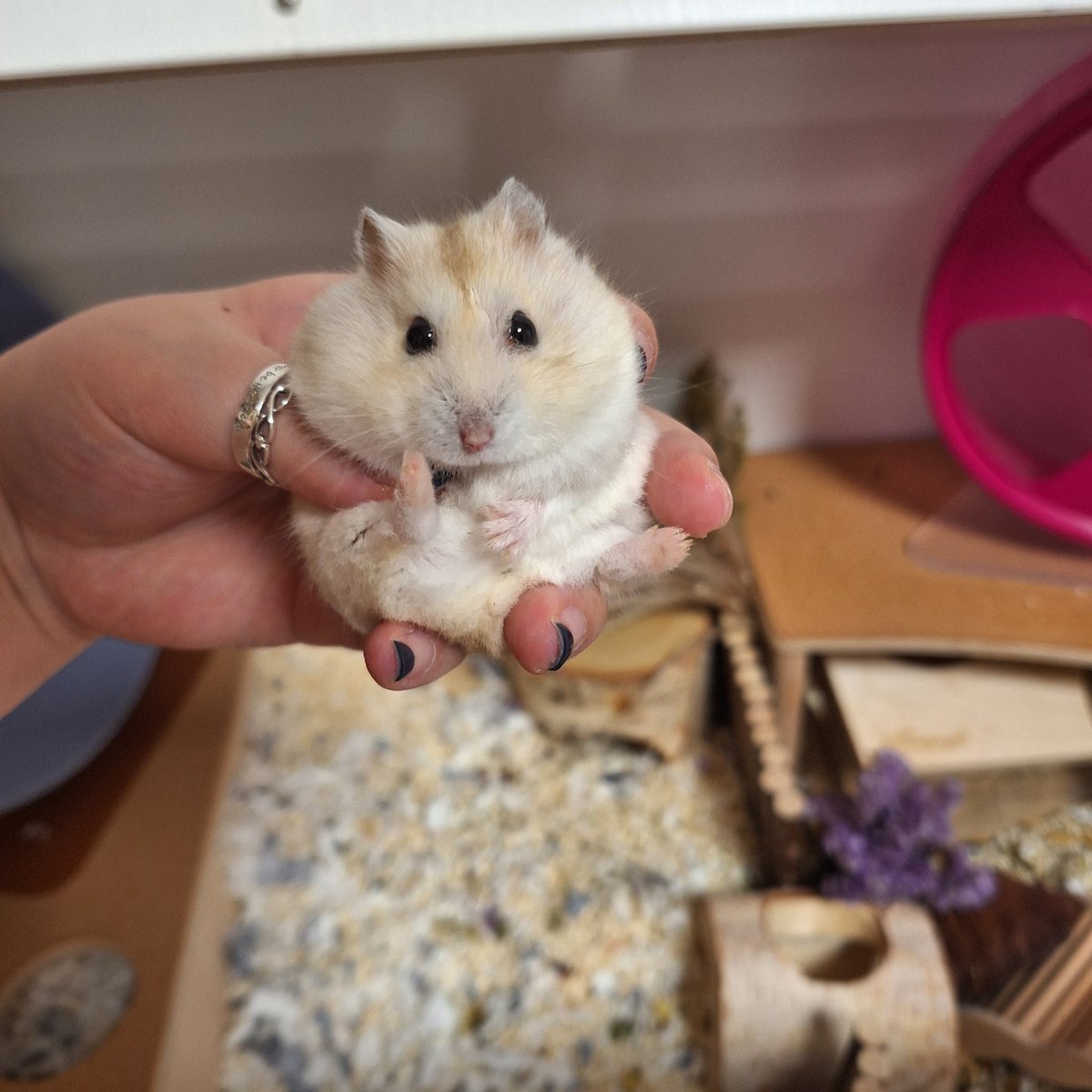 똘망해 말랑해 따끈해