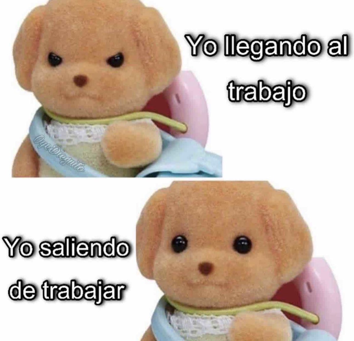 Guarromantico_'s tweet photo. https://t.co/8XsAoqHVKm