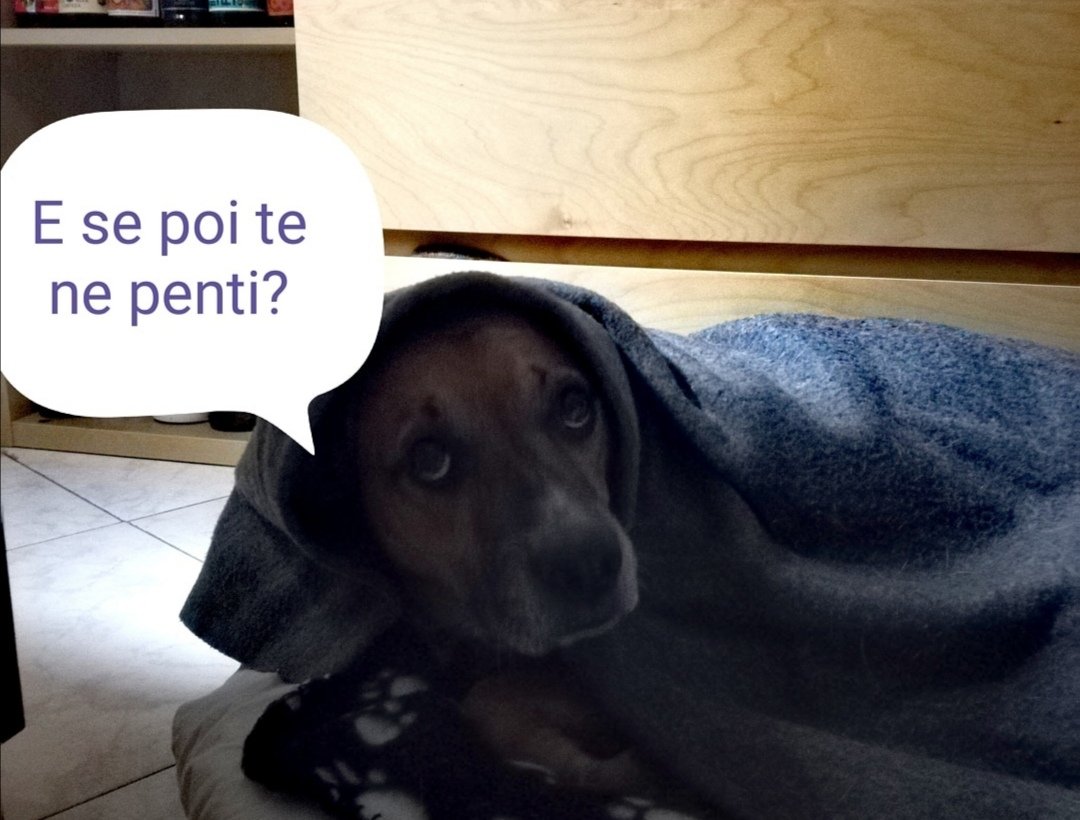 sognilucidi82's tweet photo. @Cecils33724063 Anche a Giulio hanno appioppato la santità! https://t.co/39P5IIoepl