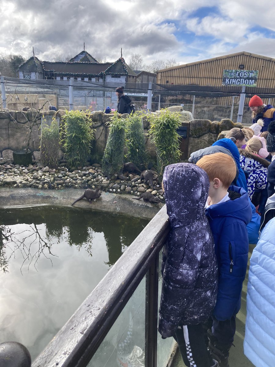 A wet but fun day for P1B at @fivesisterszoo Despite the rain the children enjoyed exploring and spending time with their friends. 🐻🦁🐒🐧🐺🦦