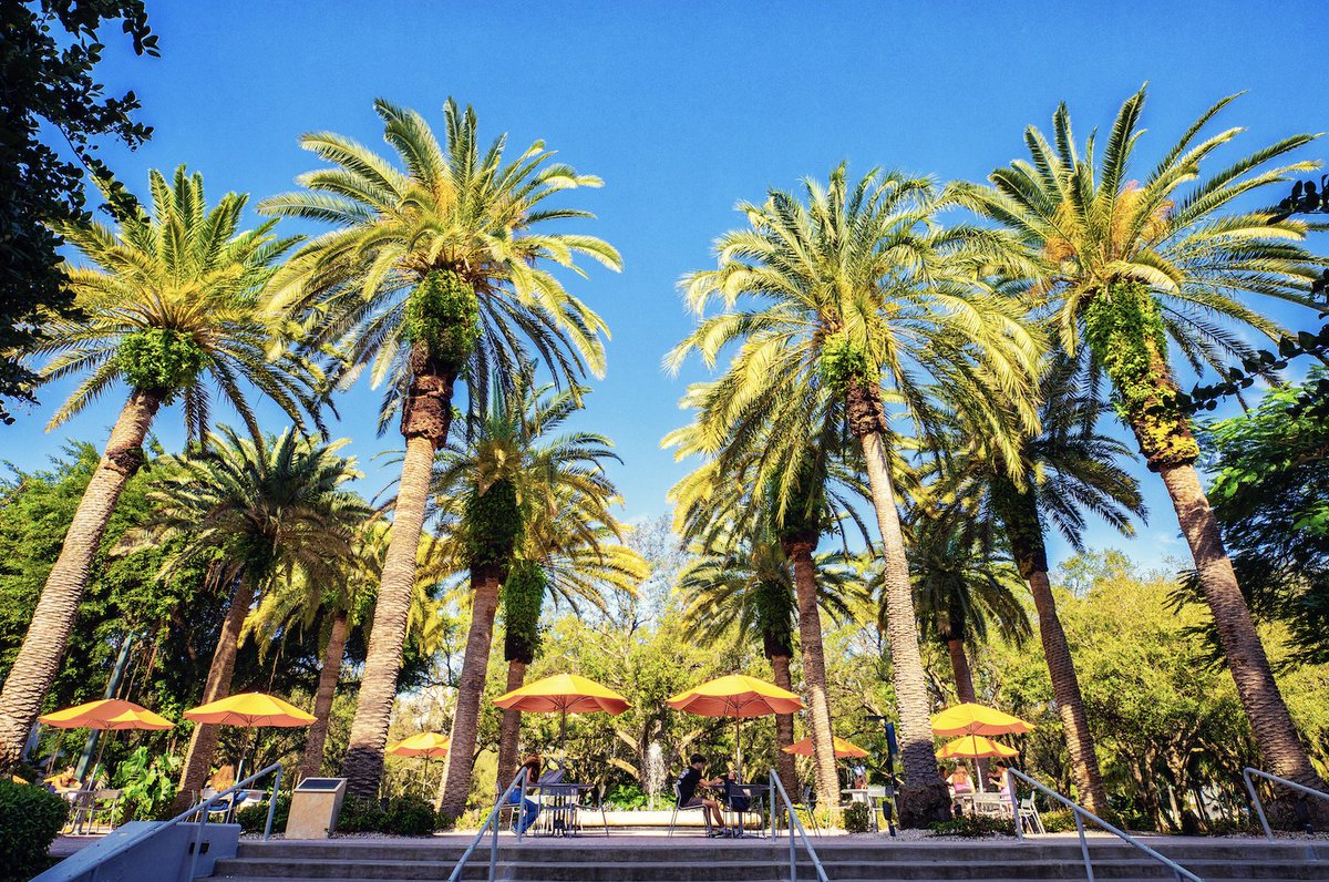 University of Miami tweet media