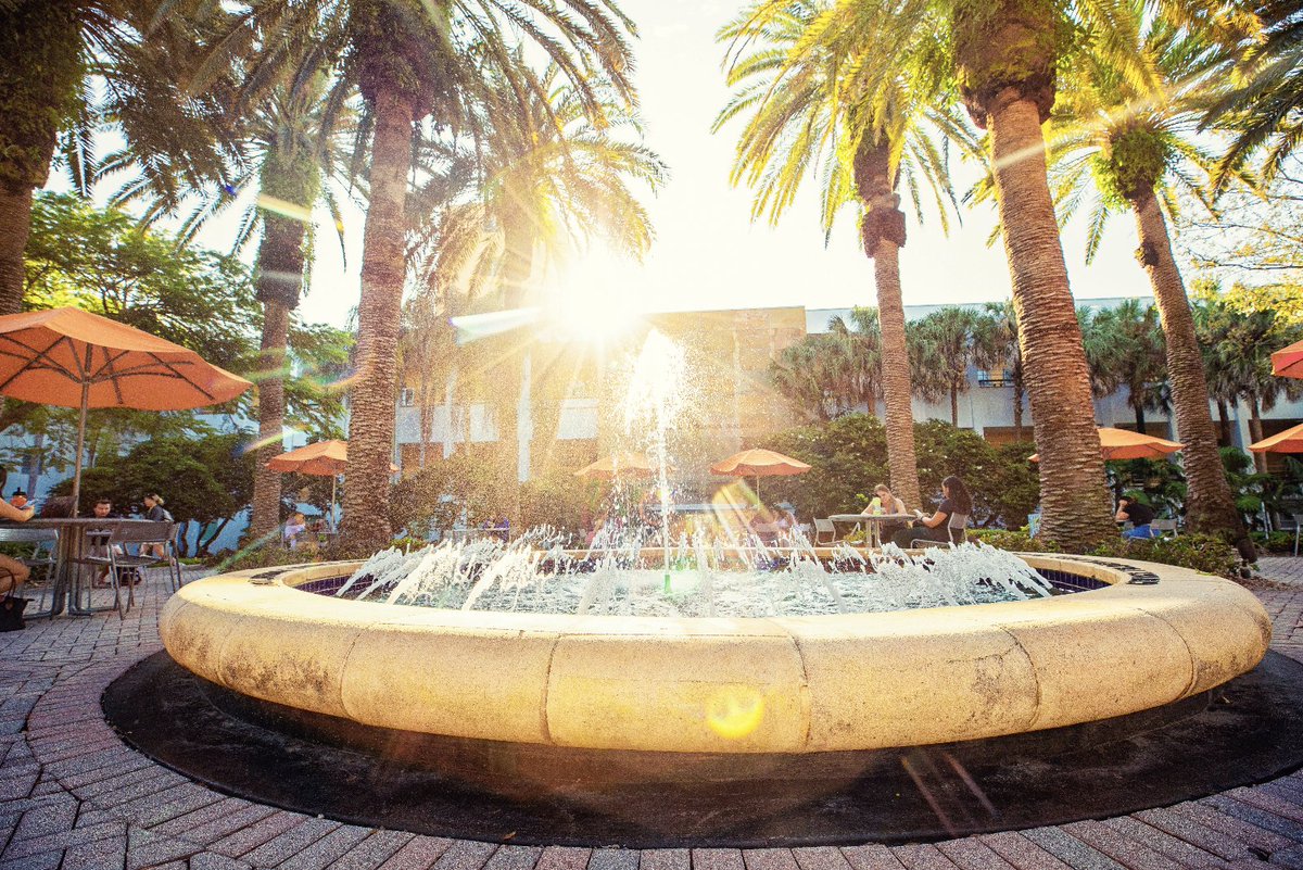 University of Miami tweet media