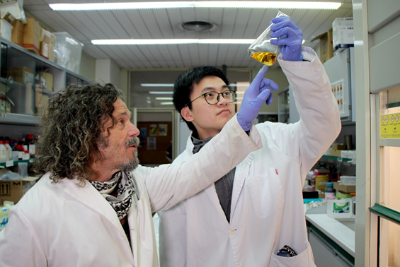 ALBAsynchrotron's tweet photo. #synchrotronscience
USERS OF ALBA CREATE THE MOST POROUS ZEOLITE TO DATE
The @icmm_csic leads an international research that synthetized a #zeolite with extra-large pores by expanding and connecting silica chains.
👉https://t.co/hf5e4Nnnvb
Today on @Nature
#ICTSnews #catalysis https://t.co/1QCKjQiWJr