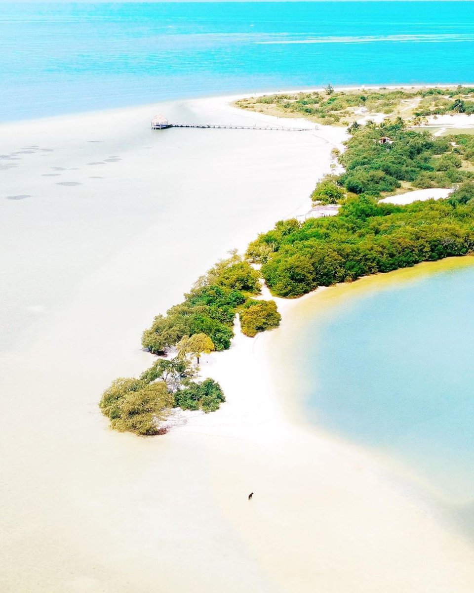 Experience luxury at #CasaHX in #Holbox 🏨🌅 Fine dining, spa relaxation &amp; entertainment await. Minutes from #PuntaCocos, dive into bioluminescence &amp; #WhaleShark swims (better season is until may). Savor the views, sunsets &amp; mezcal!

📷 IG casa_hx | murph_holbox 

@GoMexCaribbean