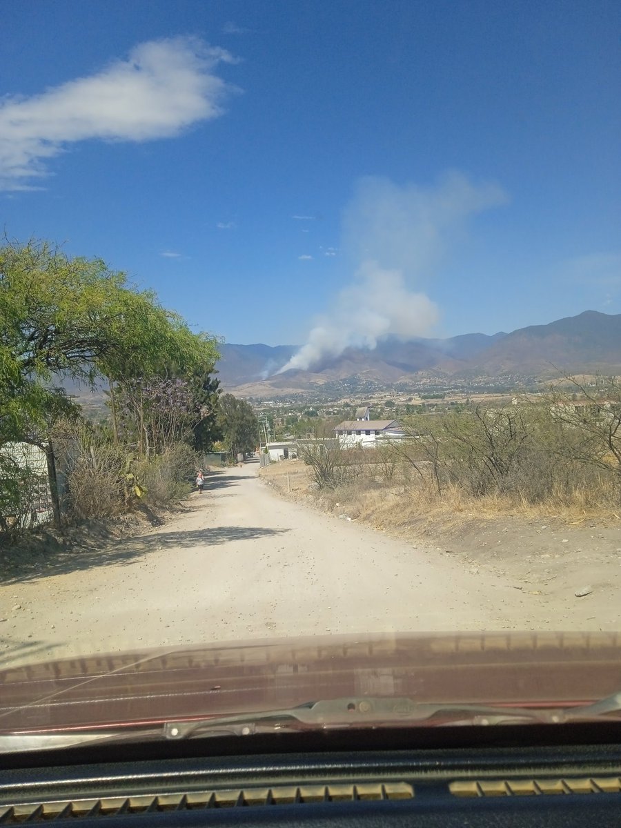 AngelCornell3's tweet photo. Oaxaca se sigue quemando https://t.co/0EAnsCpYbK