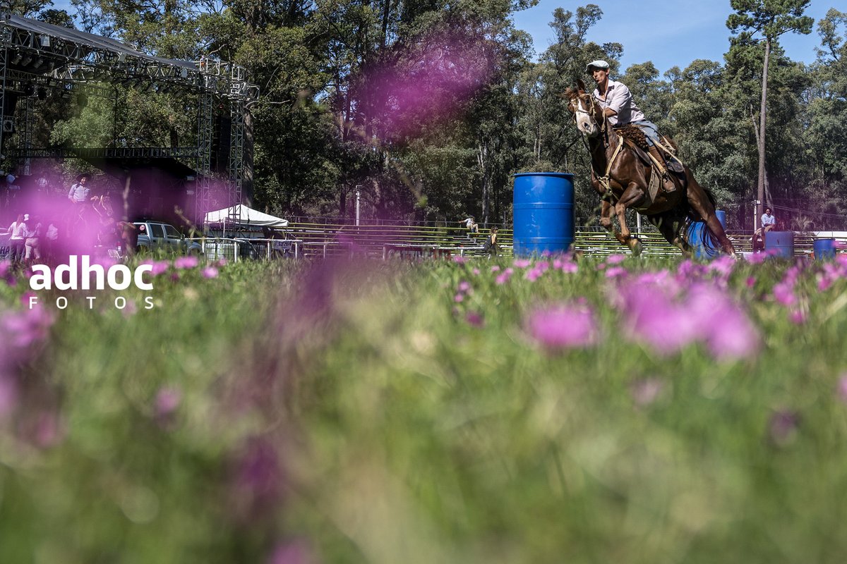 20240327
Competencia de riendas en ruedo de la Criolla del Parque Roosevelt en el departamento de Canelones. Foto: <a href="/mauricio_zina/">Mauricio Zina</a> / adhocFOTOS

#adhocFOTOS #FotoperiodismoUruguay #Cooperativadefotografos