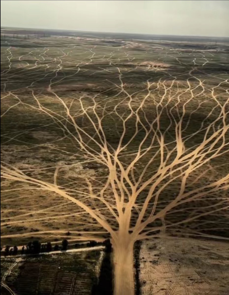 نويت انساك واجنّب عن دروبك وعن ممشاك
ولاكن ماقدرت انساك واجنّب عن دروبك  

حبيبي والطريق الي حسبته مايدل خْطاك  
اثر كل اتجاهاته توديني على صوبك  

#علي_فهد