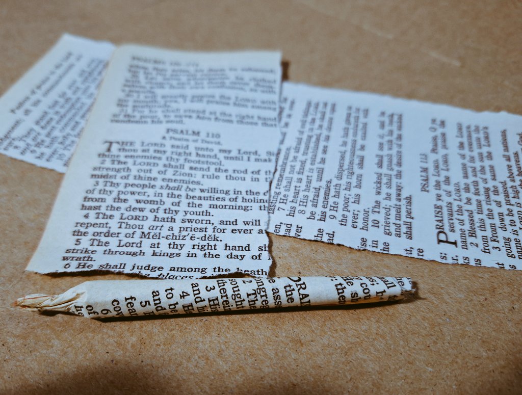 🔸️The.Angry.Ostrich. tweet media