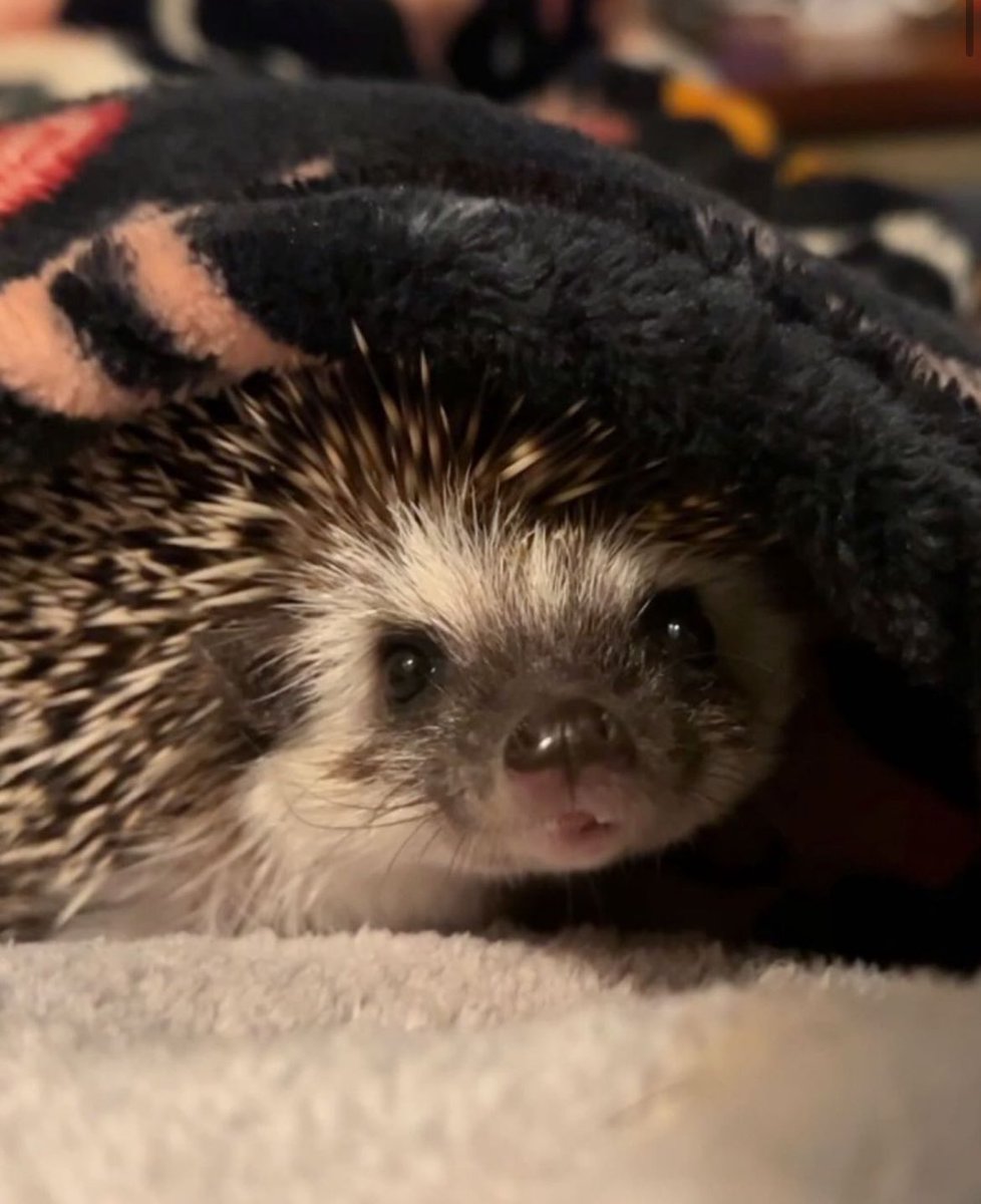 Wednesday 27th March, 2024