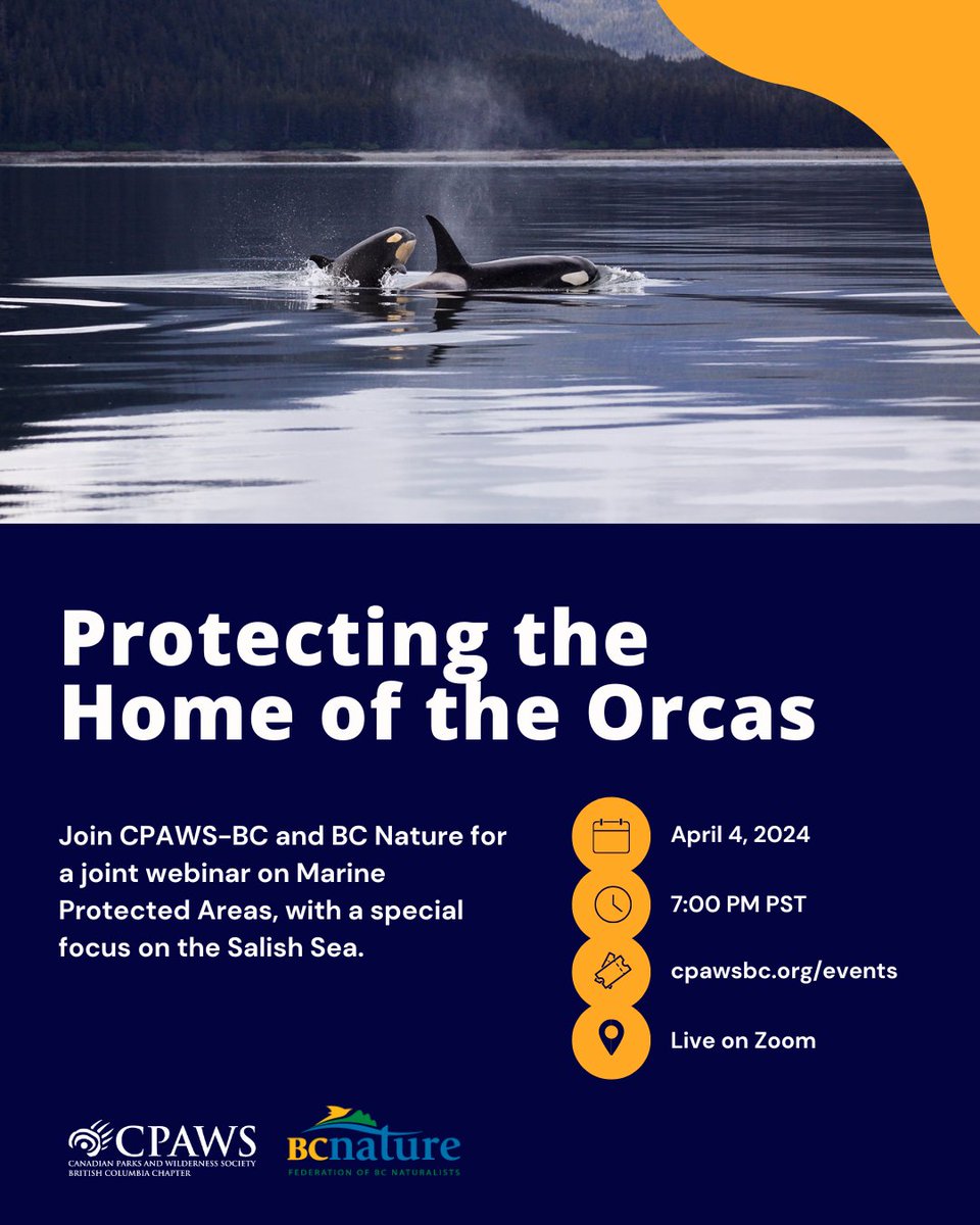Next week, @BCNature will be hosting us as we talk about protecting the 'Home of the Orcas' with a proposed National Marine Conservation Area Reserve in the Salish Sea's Southern Strait of Georgia. Register: us06web.zoom.us/meeting/regist…