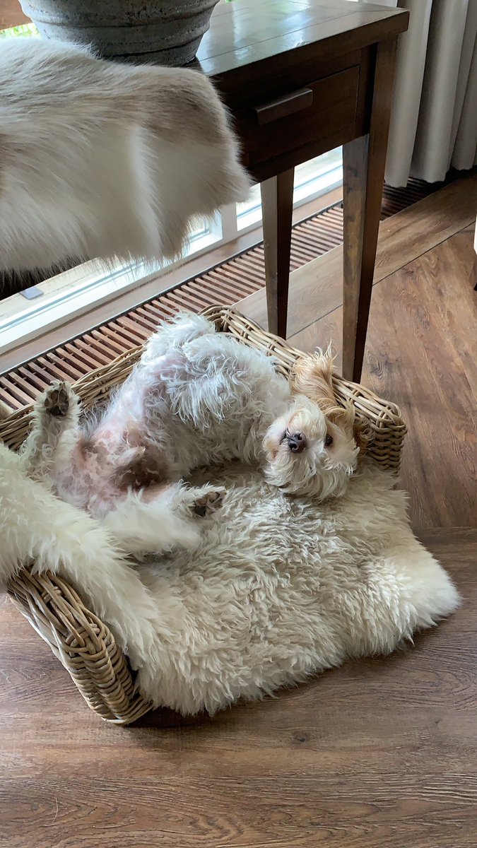 Groot gemis 😢✨❤️