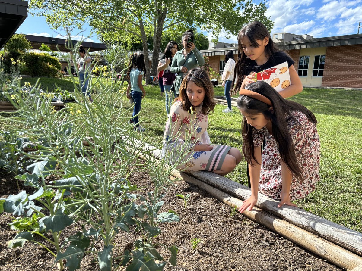 I had so much fun spending time with Cable Elementary kids who were so pumped to show me their ACORN garden! Project ACORN teaches kids about science and nature by letting them get their hands on seeds, and plants, and soil. Great job @NISDCable #NISDProjectAcorn #MelisSAinSA