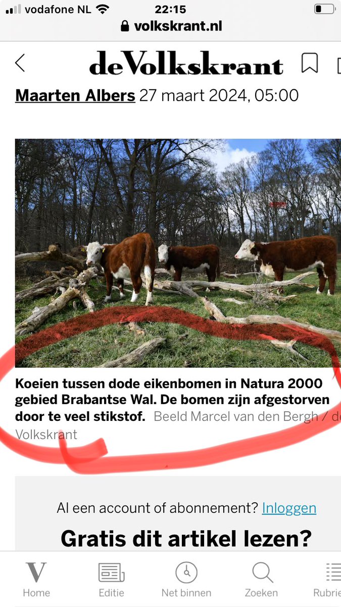 Heerlijk wat een onzin …….. een journalist van <a href="/volkskrant/">de Volkskrant</a> die verstand van stikstof heeft , wel mooie Hereford koeien